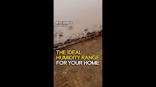 The Ideal Humidity Range For Your Home [upl. by Koby]