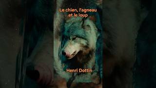 Le chien lagneau et le loup  Henri Dottin fables animaux [upl. by Etteiram454]