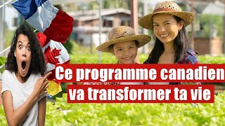 Révélation Choc  Le Programme Pilote Canadien Qui Change Tout [upl. by Isle]