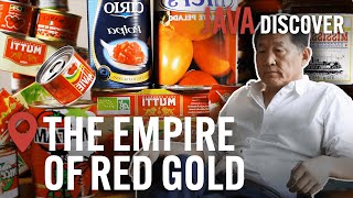 Secrets of the Tomato Industry The Empire of Red Gold  Food amp Agriculture Documentary [upl. by Kizzie707]