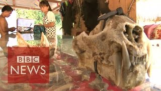 Undercover in Myanmars Sin city where anything goes  BBC News [upl. by Moya199]