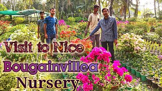 Visit to Nice Bougainvillea Nurseries Near Kolkata [upl. by Pyle]