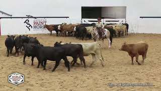 Jazzy Ranch Cutting APHA World Show 2024 [upl. by Bunni]