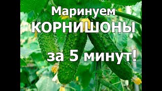 Как мариновать ОГУРЦЫ КОРНИШОНЫ ВКУСНО ХРУСТЯЩИЕ ОГУРЦЫ Быстрый рецепт огурцы в микроволновке [upl. by Gorga]