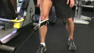 VMO Exercises  Vastus Medialis Cable Technique [upl. by Eecak323]