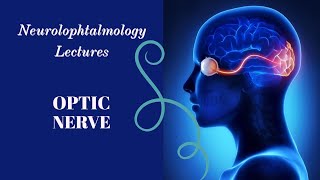 NEUROOPHTALMOLOGY lecture 5 PAPPILOEDEMA complete explanation [upl. by Nnylacissej]