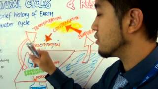 IGCSE Chemistry Planet Earth Lesson 1 Nitrogen and Water Cycle [upl. by Iong]