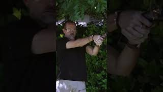 Firing a Flintlock Pistol in My Garden Adventure shorts hunting [upl. by Enitsugua]