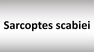 How to Pronounce Sarcoptes scabiei [upl. by Keeley]