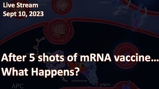 After 5 shots of the mRNA vaccine what happens Alarming fact about cellular immunity [upl. by Eppesuig]