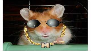 harry the hamster audition video for big brother 10 2009 [upl. by Ailhat]