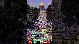 Filisten ka bare me arabic naat arabic naat filistin ringtone trending [upl. by Anrapa573]