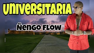 Ñengo Flow  Universitaria Letra 😎 [upl. by Werda509]