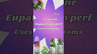 Eupatorium perf Homeopathic Medicine  Eupatorium perf 30  200  benefits Identifying Symptoms [upl. by Stockwell]