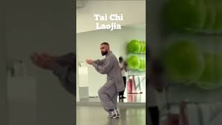 Tai Chi The Art of Peaceful SelfDefense  Laojia Movement [upl. by Bigler]