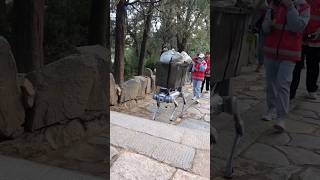 Incredible AI Robotic Technology is at work with these advance Robot Dog technology shorts [upl. by Eerolam]