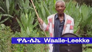 ያዮ ያዮ ዋሌ ሳጅን ሻሞልቶ Sajin shamolto Yaayo Yaayo walle old Koore traditional music official [upl. by Anwad]