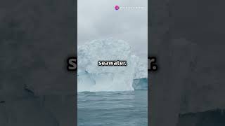 How Icebergs Form and Move staycurious facts shorts nowyouknow [upl. by Suirada]