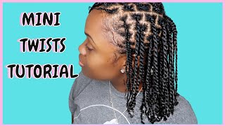 MINI TWISTS ON NATURAL HAIR USING WHIPPED SHEA BUTTER  LENGTH CHECK [upl. by Levitus]