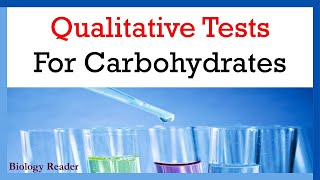 Qualitative Tests for Carbohydrates What They Are and How They Work [upl. by Luana693]