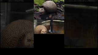 GLYPTODON animación nivel 10 Jurassic World the game m jurassic dinosaurjurassicpark dinosaur 🦖🦖 [upl. by Heidt671]