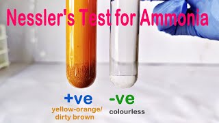 Nesslers Test Practical Experiment [upl. by Ardine]