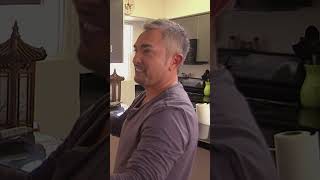 Cesar Millan Training Jealous Dogs dogwhisperer dogs [upl. by Oiluarb]