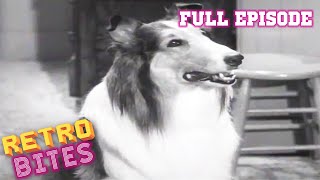 Lassie  The Bonnet  Full Episodes  Old Cartoons  Old Cartoons [upl. by Nyrahtak979]