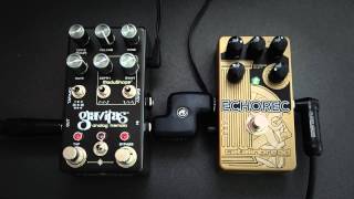 Chase Bliss Gravitas Tremolo  Catalinbread Echorec [upl. by Pope]