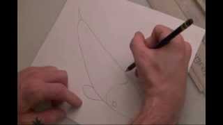 How to draw a koi fish A beginners guide [upl. by Linn]