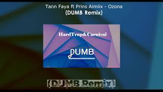 Tann Faya ft Prins Aimiix  Ozona DUMB Remix [upl. by Hpeosj]