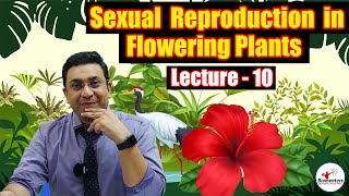 Sexual Reproduction in Flowering Plants l Lecture 10 l Biology l NEET [upl. by Lavine]