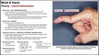 Hand Deformities ✋ How to Identify Them for NPTE ⭐ [upl. by Ylagam]