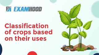 Classification of crops based on their uses [upl. by Ia615]