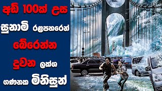 quotTidal Wavequot සිංහල Movie Review  Ending Explained Sinhala  Sinhala Movie Review [upl. by Macdonell]