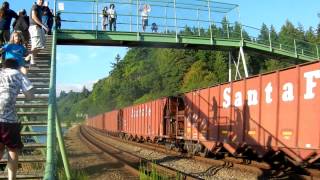 Train at Carkeek Park [upl. by Enyaht]