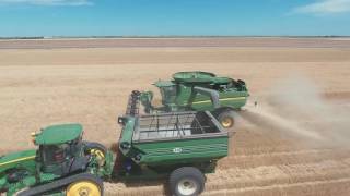 2016 Nebraska Wheat Harvest [upl. by Nod499]