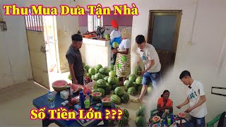 Linh Philip  Thu Số Tiền Lớn Từ Việc Bán Dưa Hấu Tại Nhà [upl. by Drarehs]