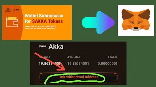 Satoshi Withdraw your Akka Tokens  Metamask Connection Guide [upl. by Spielman]