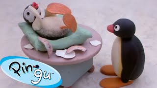 Pingus Little Sister Pinga 🐧  Pingu  Official Channel  Cartoons For Kids [upl. by Lune912]