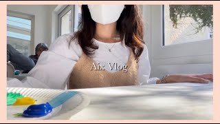 프랑스 교환학생 Vlog 3  AixenProvence  엑상프로방스  일상 브이로그 [upl. by Ekusuy]