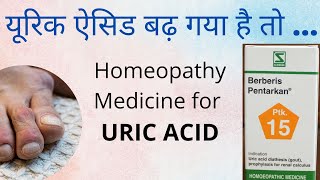 Uric acid  homeopathic treatment  Berberis pentarkan PTK 15  best treatment [upl. by Egap967]