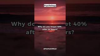 Learning Hack Stop Forgetting What You Study 📚 psychologyfacts [upl. by Niessuh]