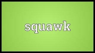 Squawk Meaning [upl. by Det]