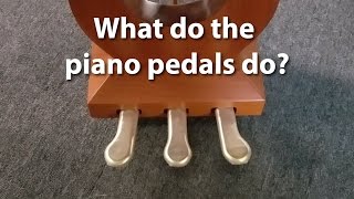 What do the pedals on a piano do  Cunningham Piano Company Philadelphia King of Prussia PA [upl. by Peppard]