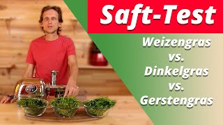 Weizengras vs Dinkelgras vs Gerstengras Entsaften  Grassaft mit dem Angel Juicer 8500 [upl. by Hendel550]