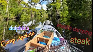 Stealth camping Anclote River in Pasco Florida  I  Fishing cooking hiking tune in [upl. by Nallad251]