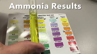 How to test for AMMONIA amp NITRITE with your API Freshwater Master Test Kit [upl. by Ahsemo924]