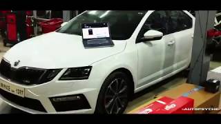 Autopsyche Delhi  Skoda Octavia RS Modifications [upl. by Joses]