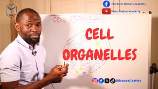 The CELL ORGANELLES Components within the CELL Cytoplasm [upl. by Aicssej]